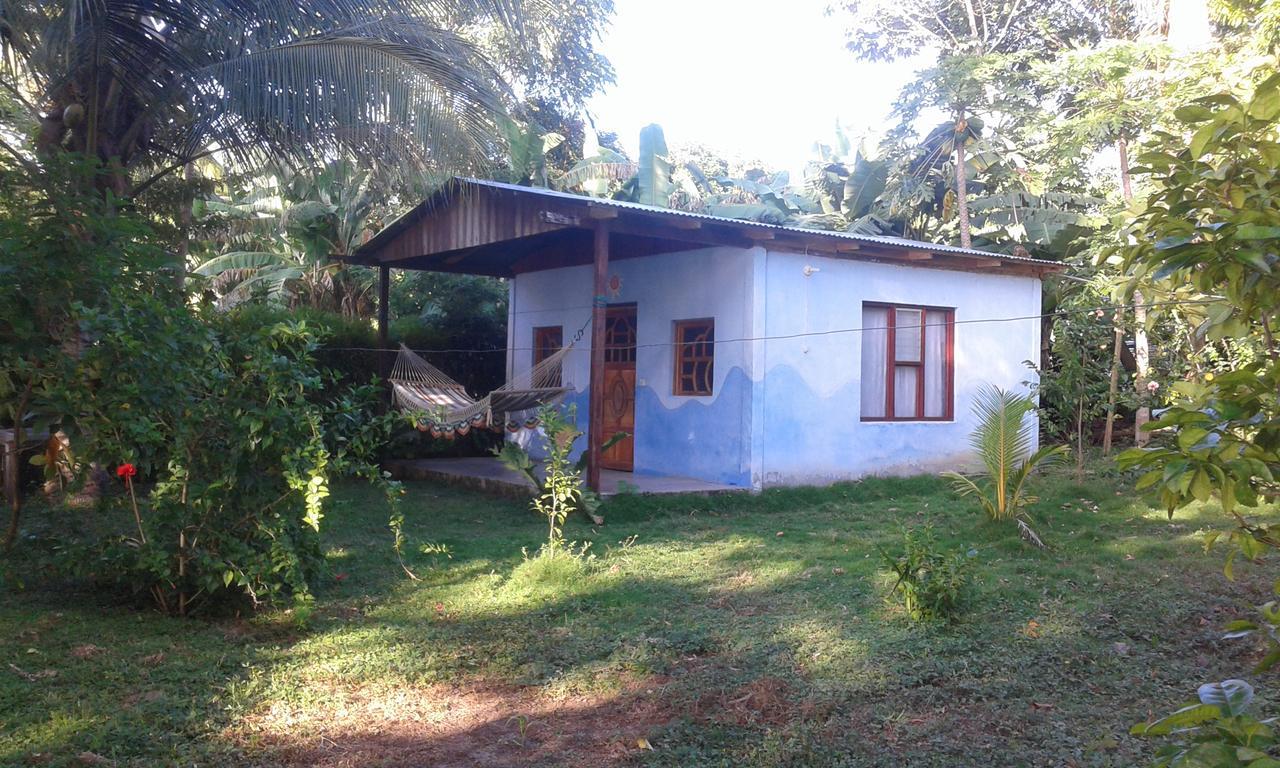 Rosa'S Lake Cabins Mérida Zewnętrze zdjęcie