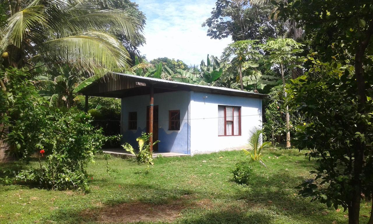Rosa'S Lake Cabins Mérida Zewnętrze zdjęcie